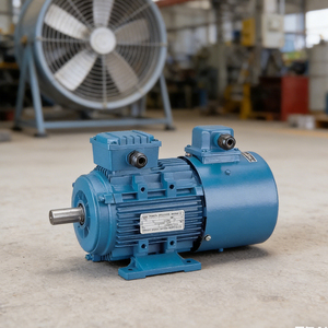 Three-Phase Variable Frequency Industrial Motor